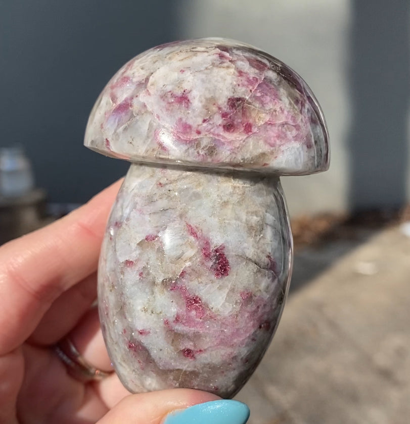 Pink Tourmaline Mushroom