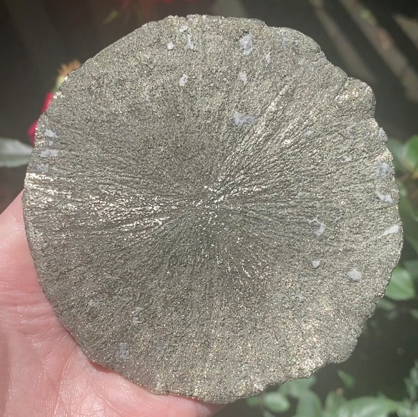 Large Pyrite Sun