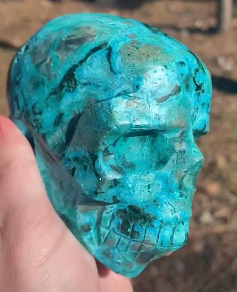 Extremely Rare African Chrysocolla Skulls