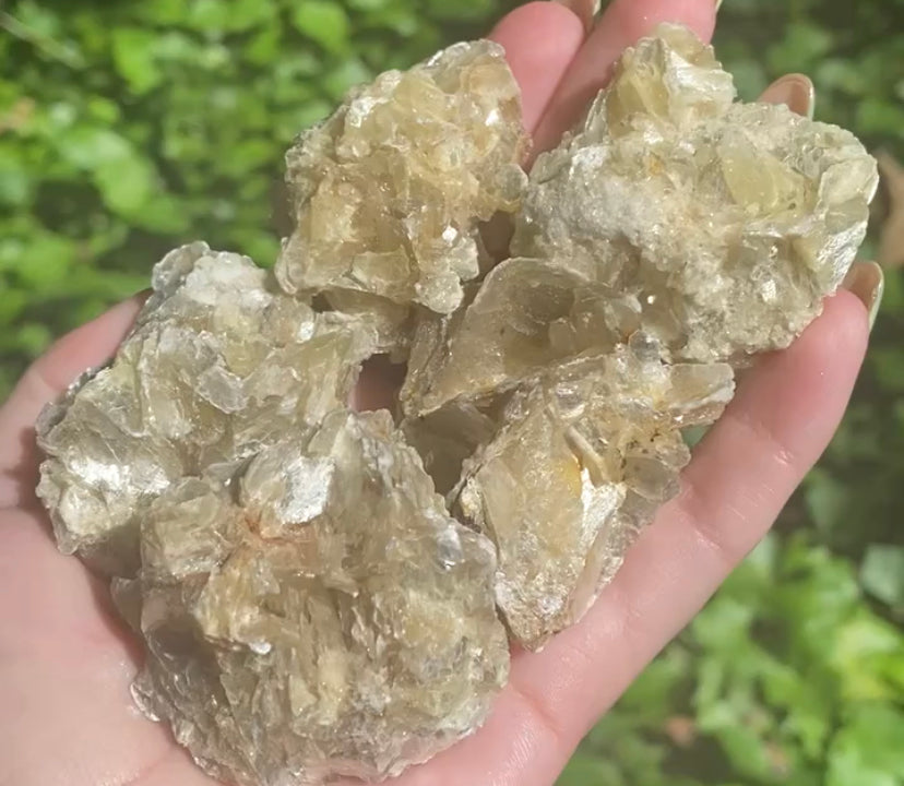 Muscovite Clusters