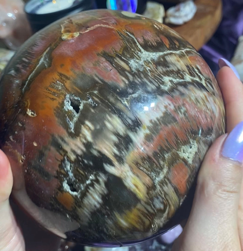 6.5lb Druzy Petrified Wood Sphere