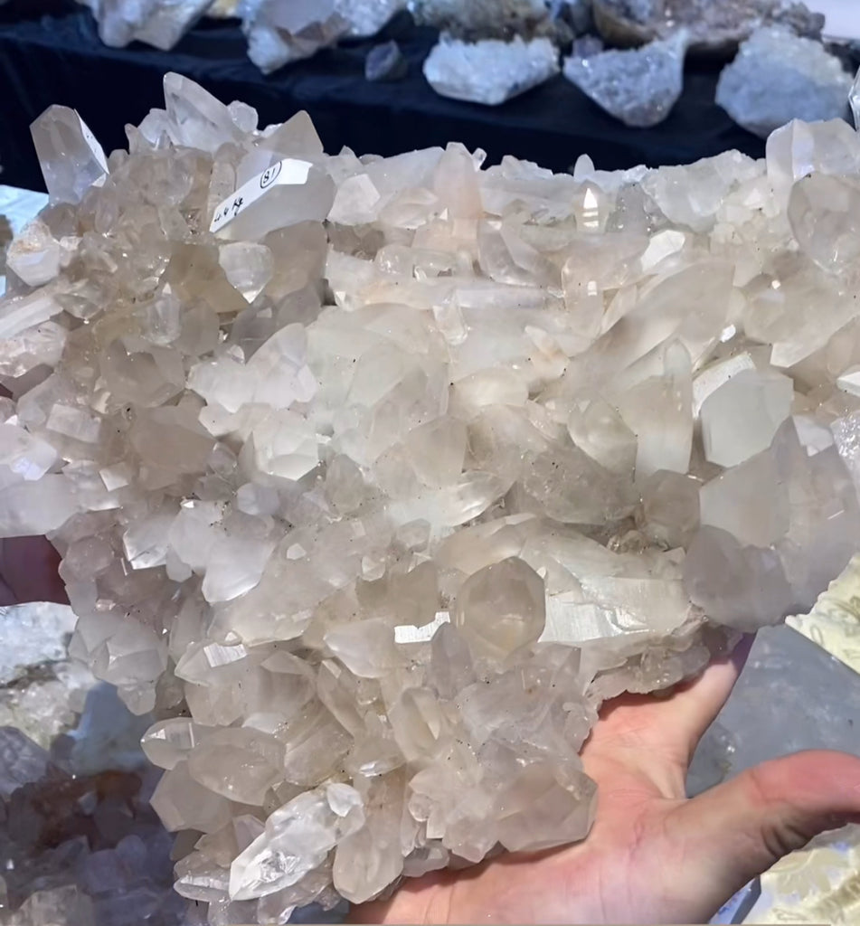 XL Himalayan Smoky Quartz Cluster