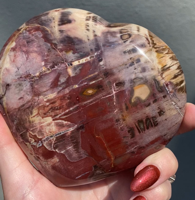 Large Petrified Wood Hearts