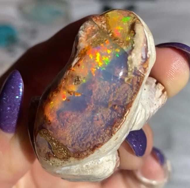 Mexican Fire Opal Frog