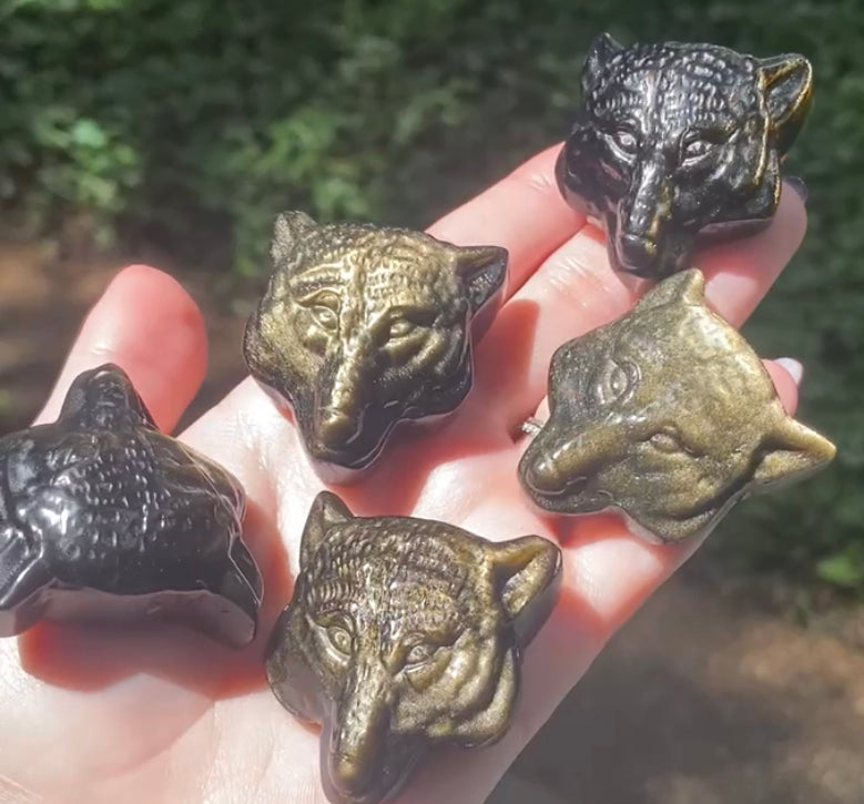 Gold Sheen Obsidian Wolves
