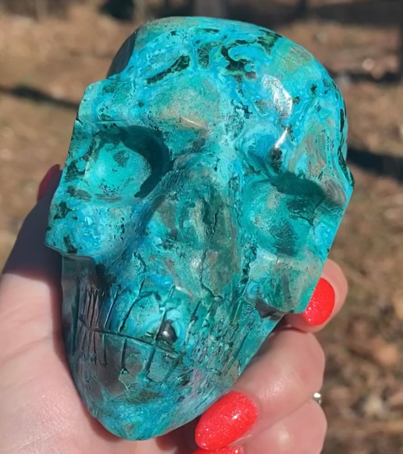 Extremely Rare African Chrysocolla Skulls