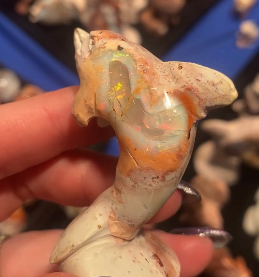Large Fire Opal Dolphin