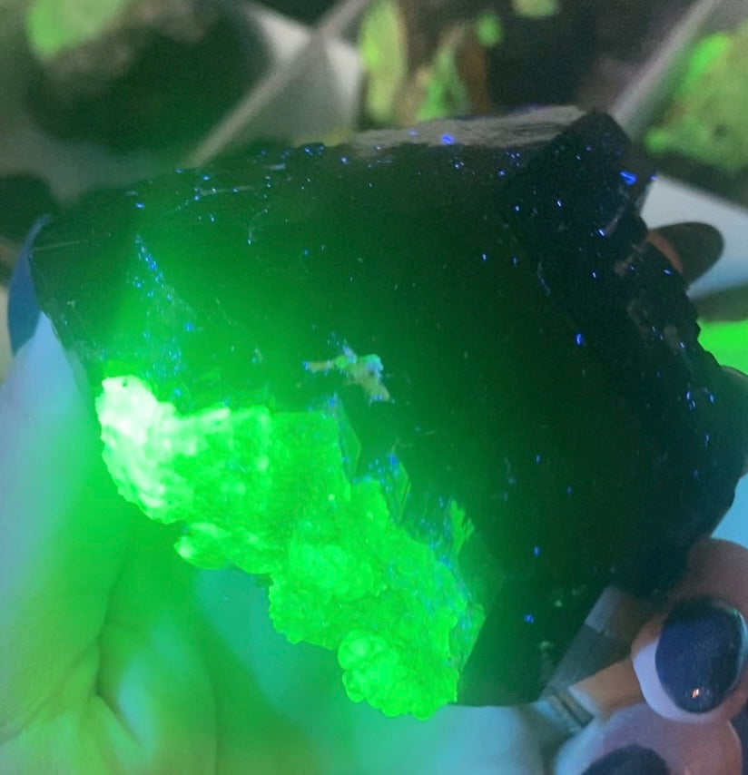 Rare Hyalite Opals on Black Tourmaline