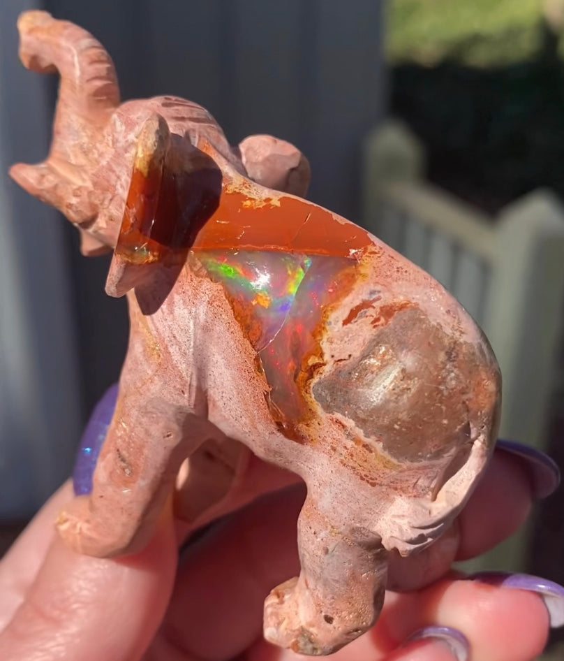 Fire Opal animals